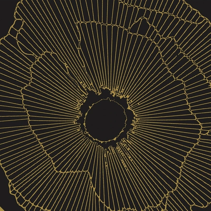 Art-Deco Black Spritz Natural - Rectifié - 29x29 Cm - 1,15m² – Image 3