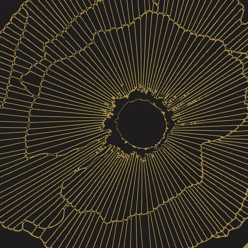 Art-Deco Black Spritz Natural - Rectifié - 29x29 Cm - 1,15m²