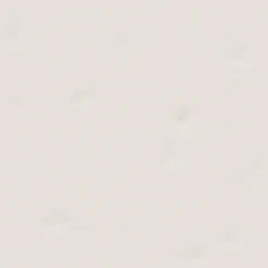 Carrelage Uni 20x20 Cm BRAZOS BLANC - 1 M²