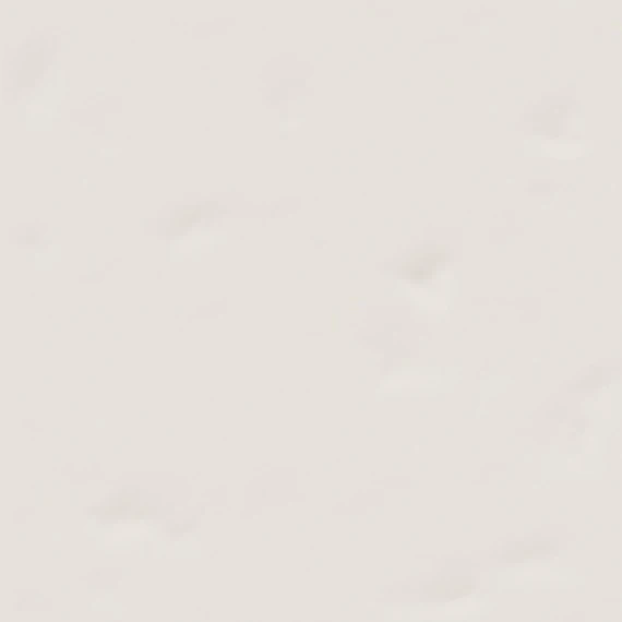 Carrelage Uni 20x20 Cm BRAZOS BLANC - 1 M²