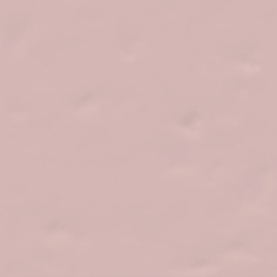 Carrelage Uni 20x20 Cm BRAZOS ROSE - 1 M² – Image 2