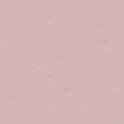 Carrelage Uni 20x20 Cm BRAZOS ROSE - 1 M²