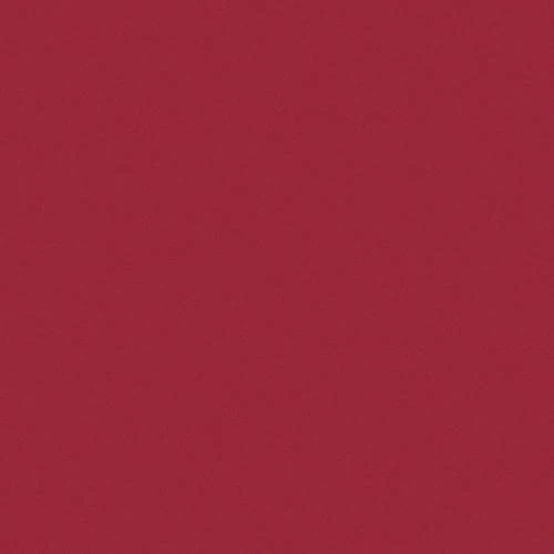 Carrelage Uni 20x20 Cm RUBINO MATT - 1.4m²