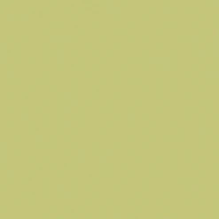 Carrelage Uni 20x20 Cm Vert Olive MELA MATT - 1.4m²