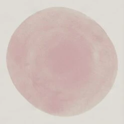 Faïence Murale Décorée HAOS 20X20- 1 M²