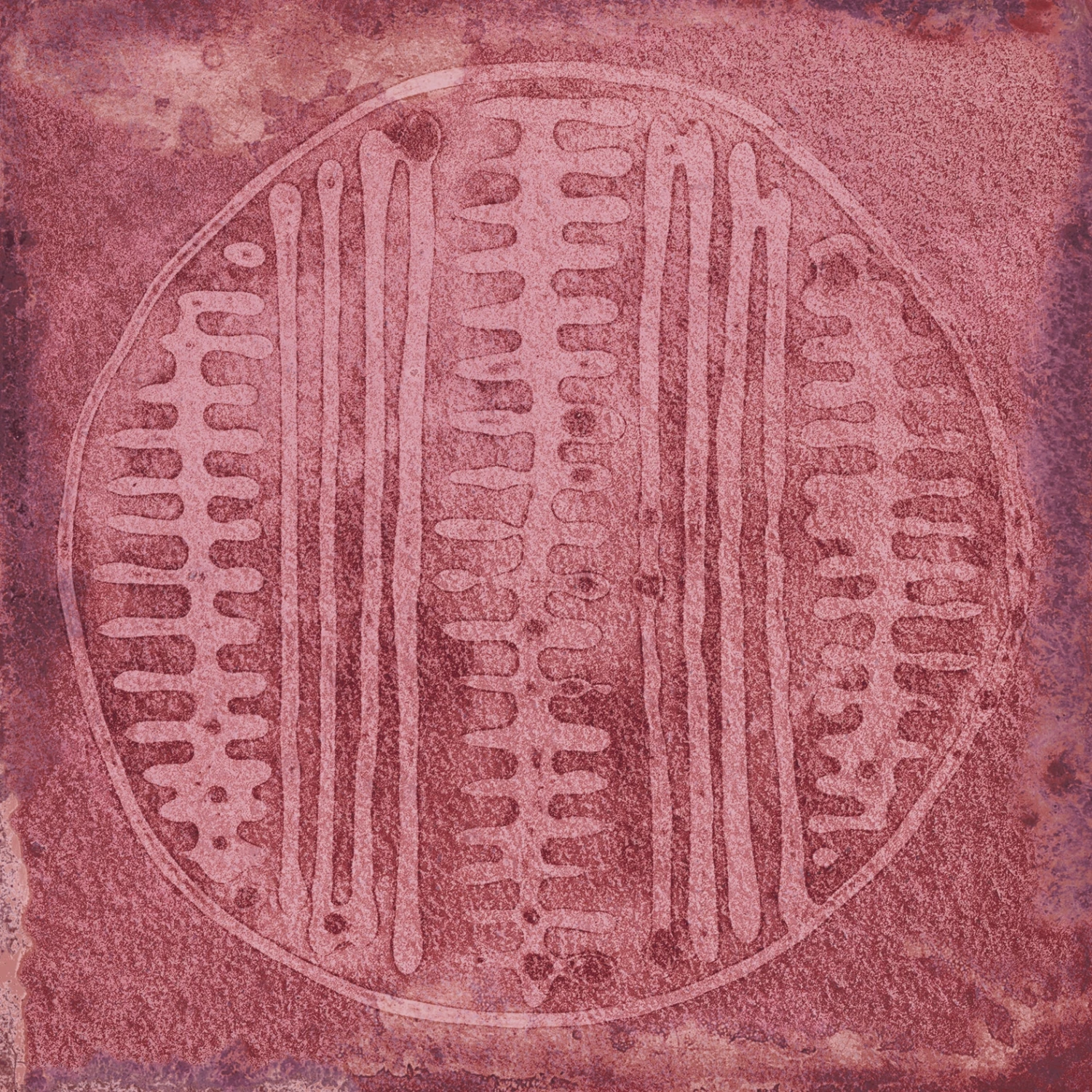 Faïence Murale Décorée Rouge à Motifs CALICOT GRANATE 20X20- 1 M²